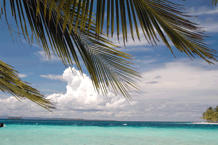flottieljezeilen Caraïben: strand met palmbomen